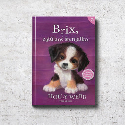 Brix, zatúlané šteniatko Brix, zatúlané šteniatko